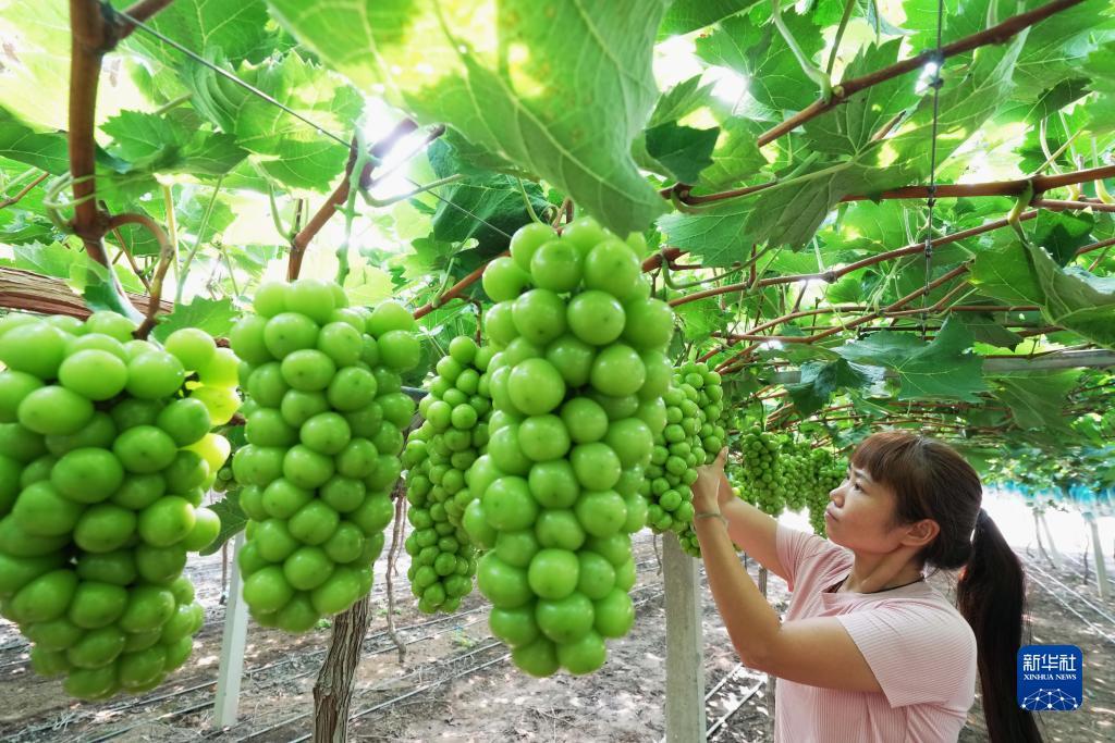 一博的资料